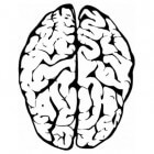 Gespleten brein: het scheiden van beide hersenhelften