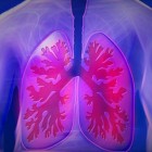 Opbouw van de longen en COPD