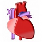 Aangeboren hartafwijkingen (congenitale hartziekte) bij baby