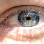 Heterochromie: Twee verschillende oogkleuren