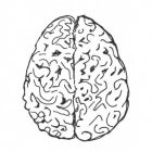 Hersenatrofie (cerebrale atrofie): Krimpen van hersenen