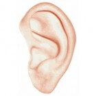 Droge oren: Oorzaken en symptomen van uitgedroogde oren