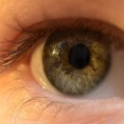 Mucormycose (agressieve schimmelinfectie) in oog (oogkas)