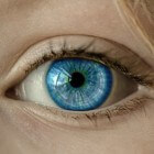 Trillend ooglid: symptomen, oorzaak, behandeling en zelfzorg