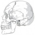 De schedel openen voor een operatie: trepanatie