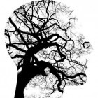 Schizofrenie (DSM-5): symptomen, oorzaken en behandeling