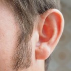 De oren van het menselijke lichaam