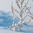 Winterdepressie of winterdip voorkomen & behandelen: tips