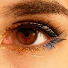 Bruine ogen: een dominante verschijning!