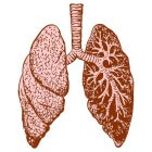 Ademhalingsstoornissen  afwijkingen van normale ademhaling