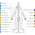 Miljarden bacteriën leven in ons lichaam