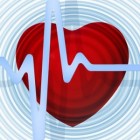 Hart en bloedvaten: functie, werking, ligging en hartslag
