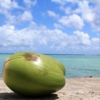 Coco Juice van Dr. Martins: gezonde kokosdrank