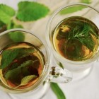Wat zijn de verschillende theesoorten en hoe gezond is thee?