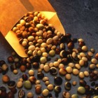 De kracht van soja: voedingswaarde, isoflavonen, groei