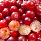 Cranberry: gezondheidsvoordelen & voedingswaarde cranberry's
