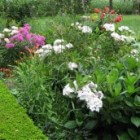 Een groene tuin is een oase van rust voor lichaam en geest