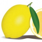 Alles over de citroen