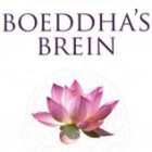 Mindfulness: invloed op je hersens en leven: Boeddha's Brein