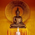 Geschiedenis van yoga  karma en reïncarnatie