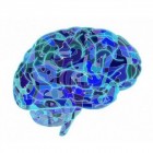 Epilepsie door hersenbeschadiging: symptomen en oorzaken