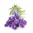 Lavendel en Edelstenen: Natuurlijke gezondheid