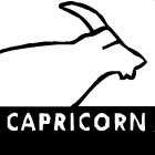 Horoscoop Sterrenbeeld Steenbok