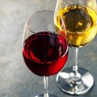 Alcohol drinken met mate: wat zijn de mogelijke voordelen?