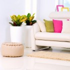 Verbeter je gezondheid met luchtzuiverende planten in huis