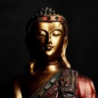 Het boeddhisme en de wetenschap