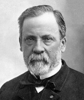 Louis Pasteur (1822-1895) / Bron: Publiek domein, Wikimedia Commons (PD)