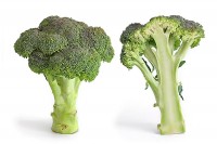 Broccoli (Brassica oleracea) / Bron: Fir0002, Wikimedia Commons (GFDL-1.2)