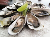 Oesters bevatten veel zink. / Bron: Guido, Wikimedia Commons (CC BY-SA-2.0)