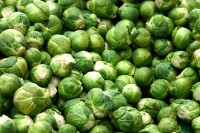 Spruitjes / Bron: Rüdiger Wölk, Münster / Wikimedia Commons