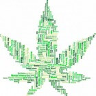 Cannabinoïd-hyperemesis-syndroom: braken door cannabis