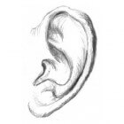 Verschil tussen misofonie, tinnitus en fonofobie