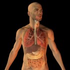 COPD en de longfunctie, klachten, diagnose en behandeling