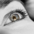 Trichiasis: Naar binnen gekeerde oogharen