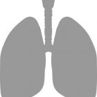 Astma en bronchitis: een technische uitleg