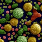 Welke allergieën bestaan er onder andere?