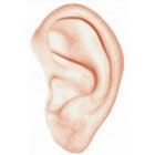 Abces achter het oor: Teken van (bacteriële) infectie