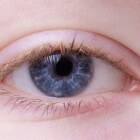 Oogwormen: Soorten en symptomen van worminfectie aan ogen