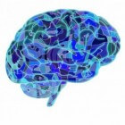 Encefalopathie: Ziekte, stoornis of schade aan hersenen