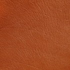 Oranje huid: oorzaken oranje huidverkleuring (carotenemie)