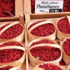 De cranberry of grote veenbes levert sap na vorst