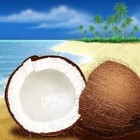 Kokosoliehaarmasker: drie methoden voor dik en sterk haar