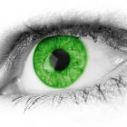 Groene ogen: een zeldzame verschijning!