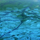 Blauwalg – vloek van het zwemwater