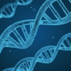 Structuur van het menselijke DNA