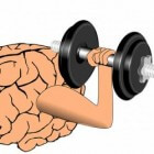 Fitness voor je brein
